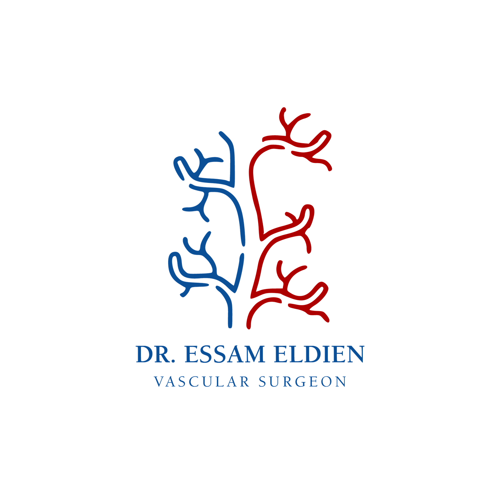 dr essam
