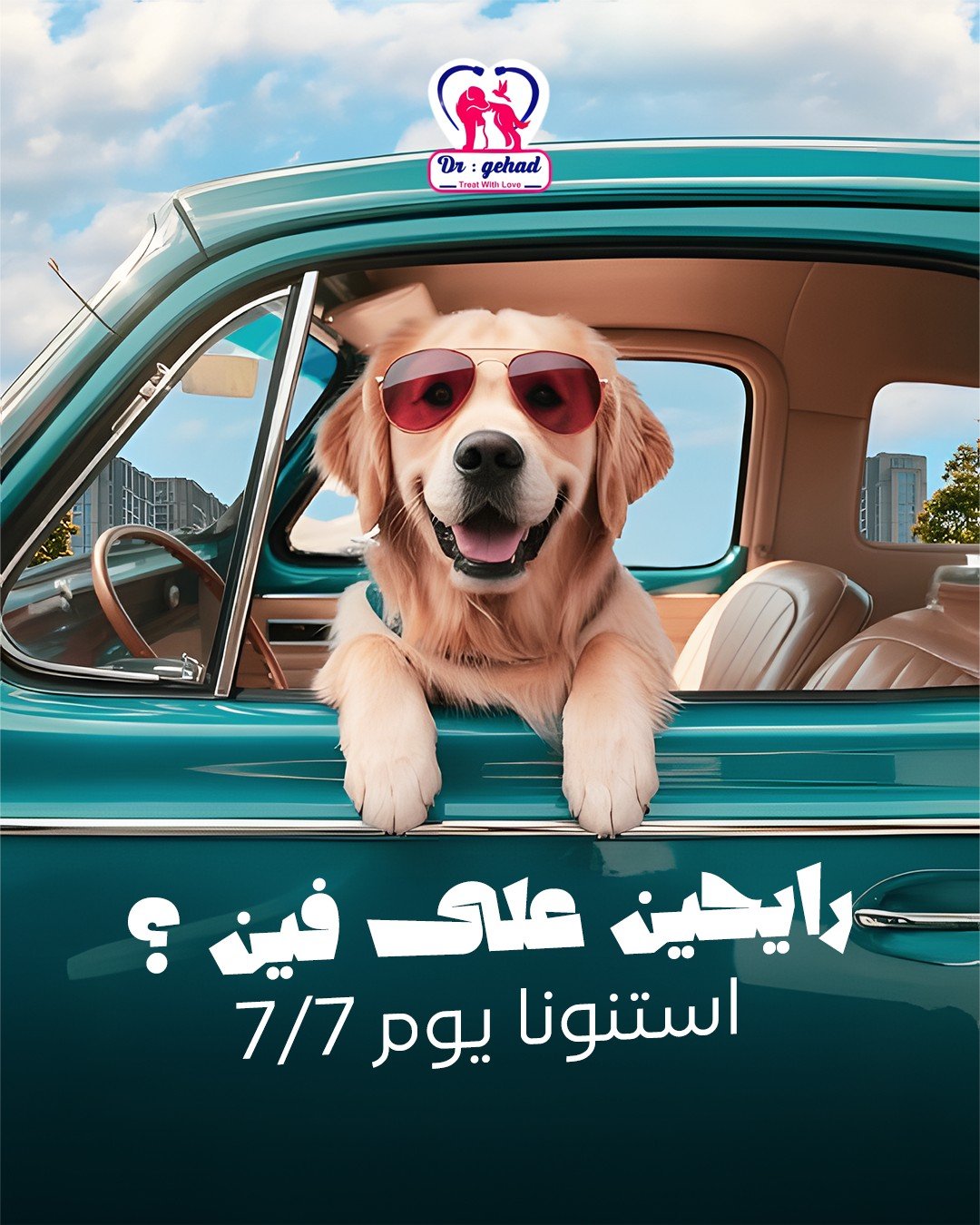 Al Asra Vet